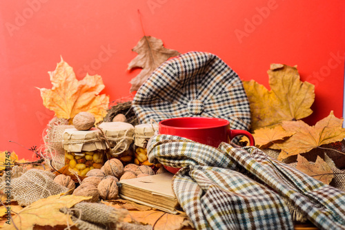 Enjoy cozy autumnal atmosphere. Fall bucket list concept. Mug cozy aromatic tea beverage in scarf and treats. Mug of tea surrounded by scarf red background with fallen maple leaves and walnuts