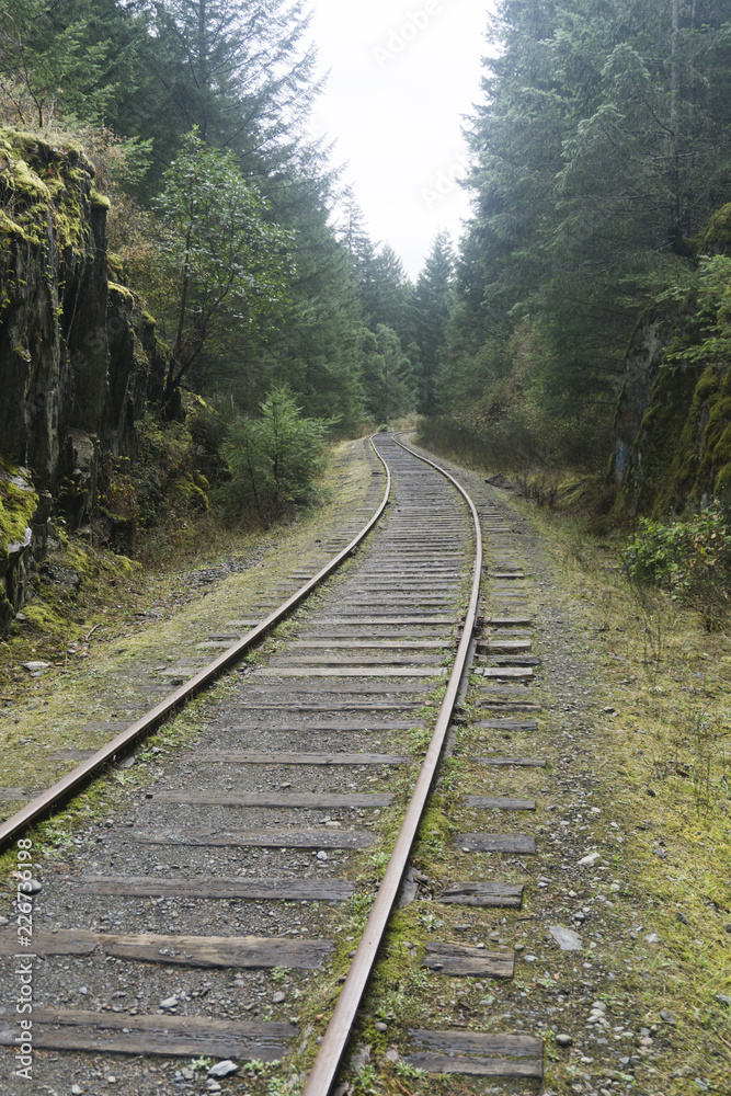 Obraz premium Old abandoned railroad train track