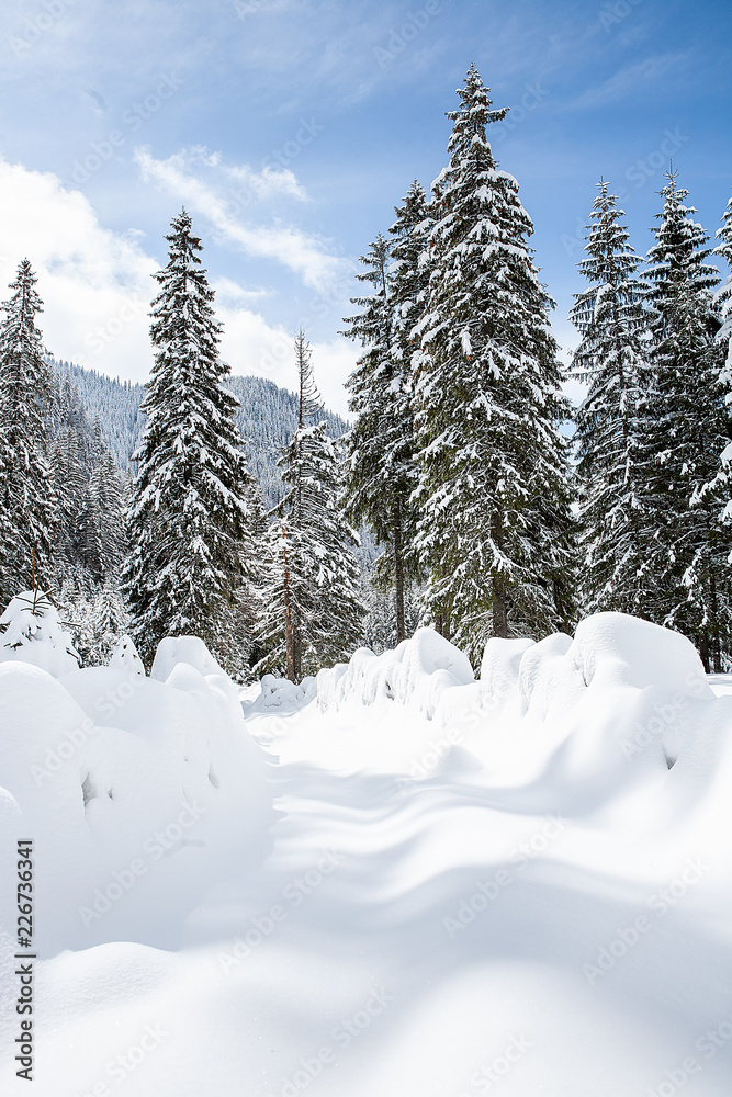 Obraz premium Beautiful winter landscape with trees unde heavy snow. Magical scenery