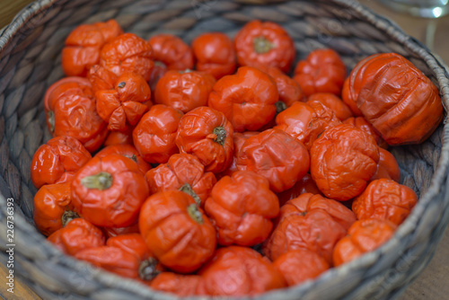 Bright orange nightshade