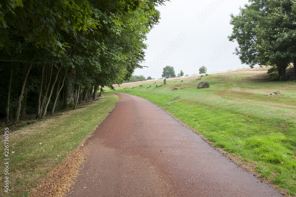 Camino rojo entre la hierba y los árboles