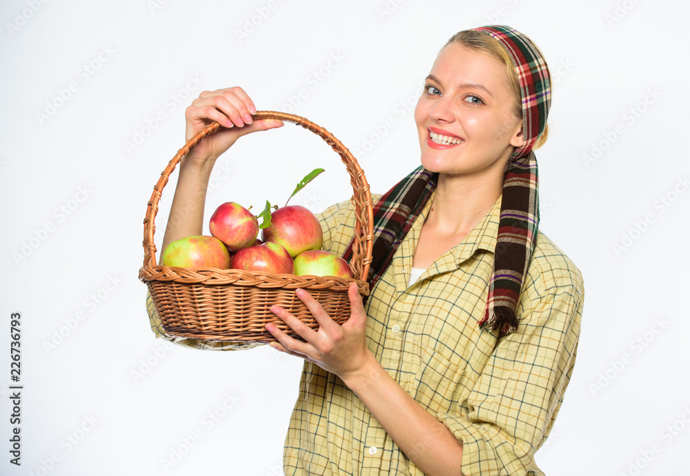 Woman cheerful carry basket with natural fruits. Woman gardener rustic style hold basket with apples harvest on white background. Harvesting time concept. Lady farmer or gardener proud of her harvest Woman cheerful carry basket with natural fruits. Woman gardener rustic style hold basket with apples harvest on white background. Harvesting time concept. Lady farmer or gardener proud of her harvest