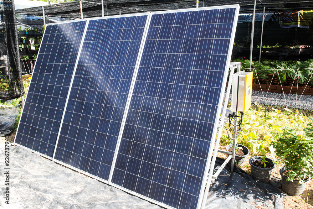 solar panel in the garden