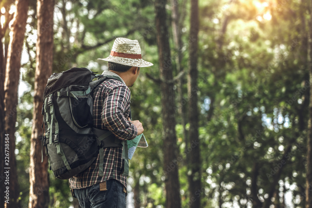 Hiker man with backpack is walking in forest