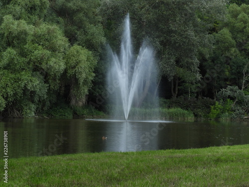 Fountain  water  stream  green  forest