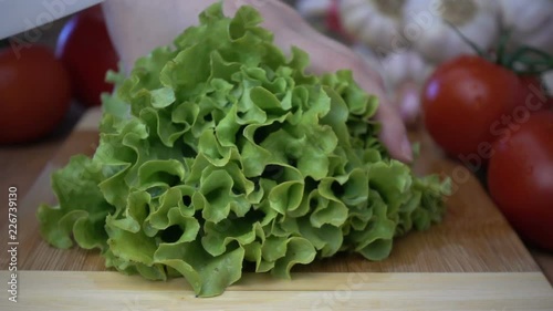 Wallpaper Mural Chopping of fresh salad leaves on the cutting board in slow motion. Cooking concept Torontodigital.ca