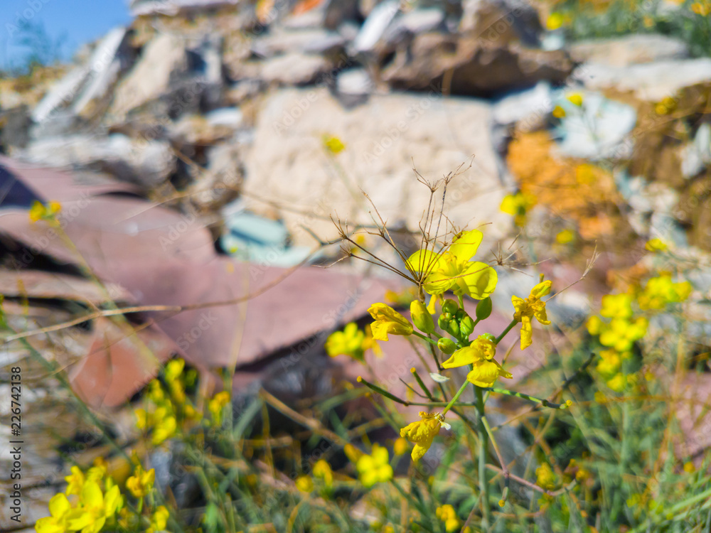 The garbage dump in nature, close up /Construction garbage, plastic garbage and old tires, close up, focus on foreground The garbage dump in nature, close up /Construction garbage, plastic garbage and old tires, close up, focus on foreground