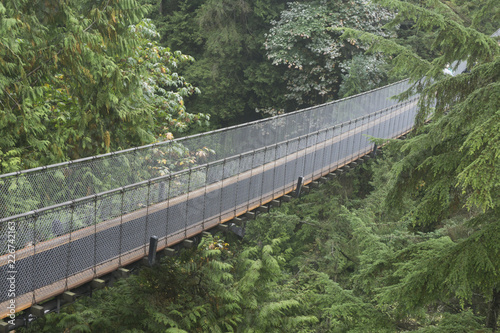 Capilano Suspension bridge in North Vancouver, Canada