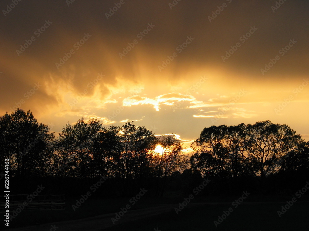 The Blazing Sunset The Blazing Sunset