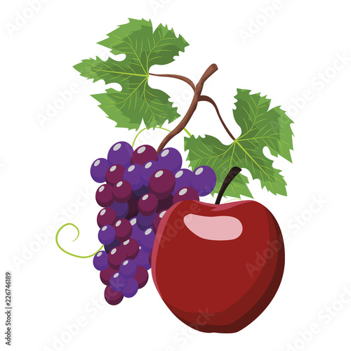 Grapes and apple fruit