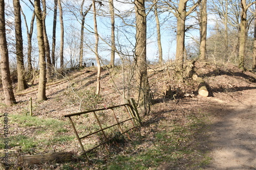 bospad met hek en stammen van omgewaaide bomen in de Kruisbergse bossen