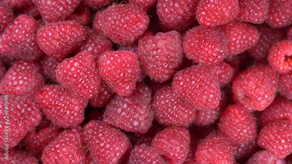 Fresh, ripe, juicy raspberry background, close up berry, rotation loopable 4k top view. Food background. Gastronomy concept, organic food. Macro red raspberries fruit Fresh, ripe, juicy raspberry background, close up berry, rotation loopable 4k top view. Food background. Gastronomy concept, organic food. Macro red raspberries fruit