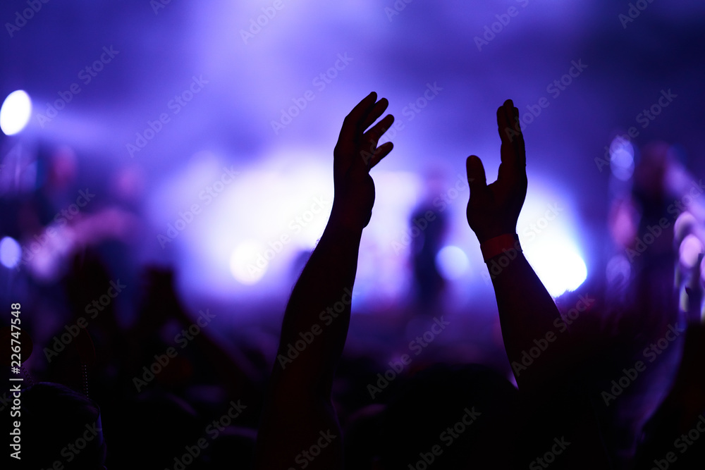 the guys put their hands up and enjoy the music. crowd at concert - summer music festival. the guys put their hands up and enjoy the music. crowd at concert - summer music festival.