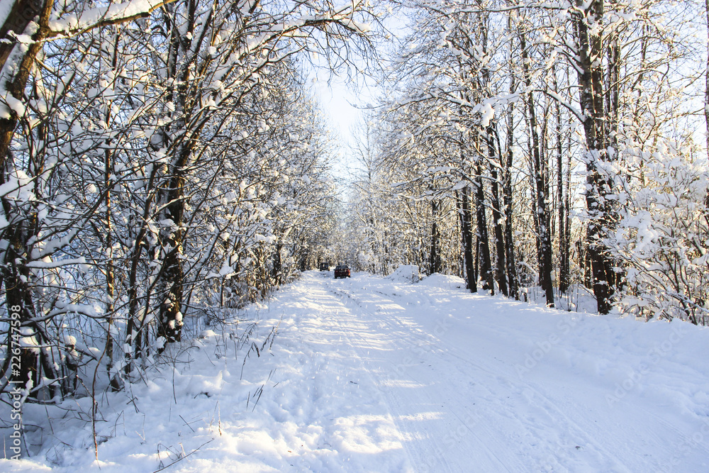 Obraz premium Nature, landscape, travel concept - beautiful winter landscape with snowy road in the winter forest. Cars in the winter road. Snow-covered trees under sunlight. Snowy spruce, sunny winter day. 