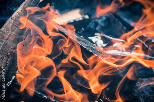 Burning and smoking wood logs