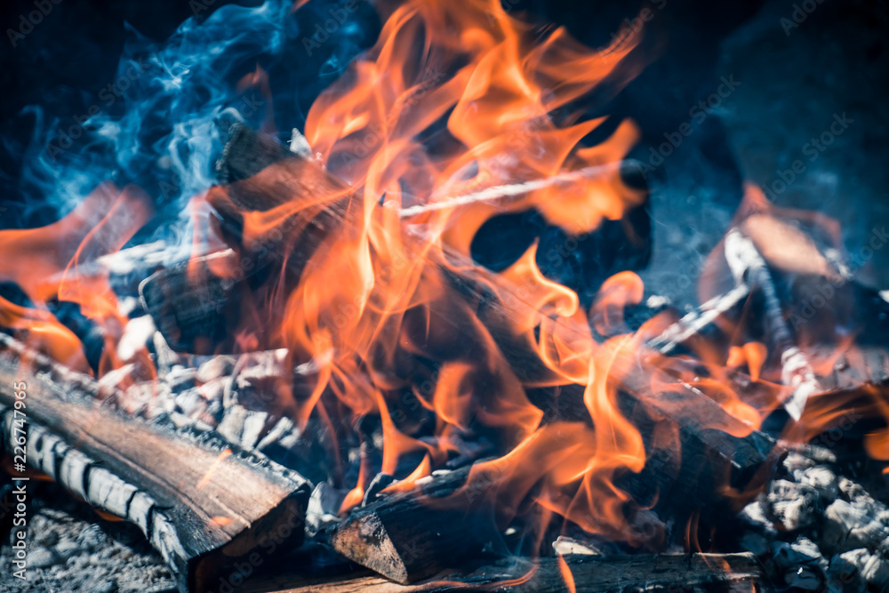Burning and smoking wood logs Burning and smoking wood logs