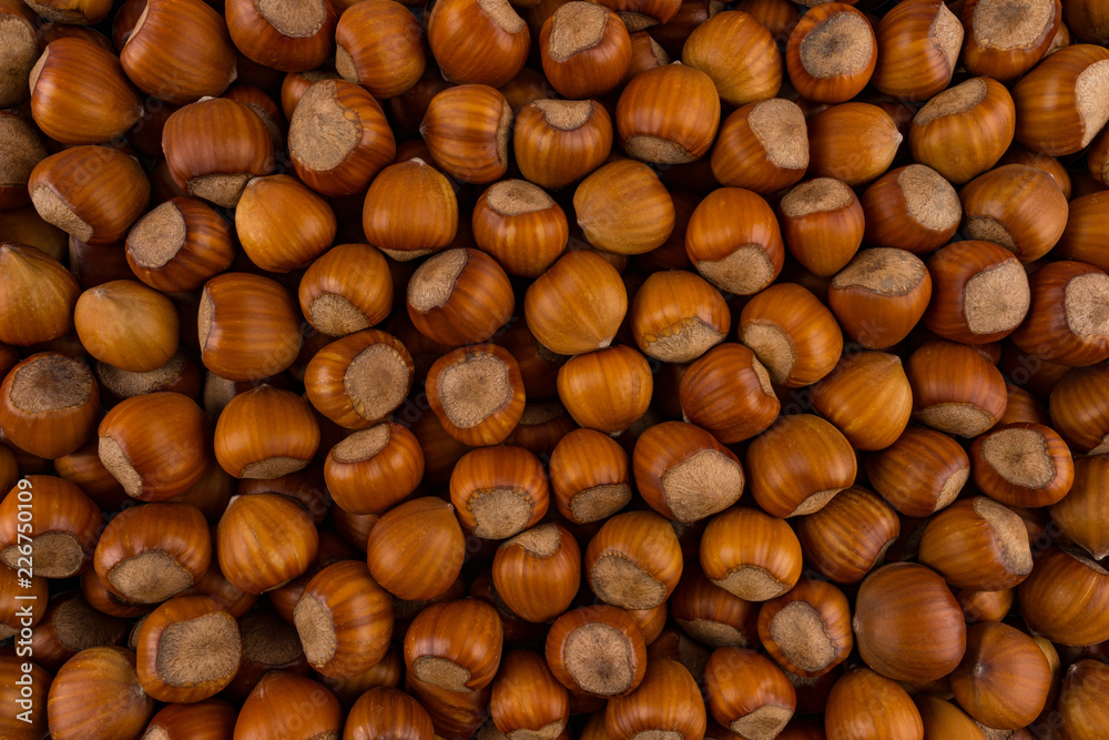 Ripe hazelnuts background. Hazelnut. Nuts in boxes. Ripe brown nuts