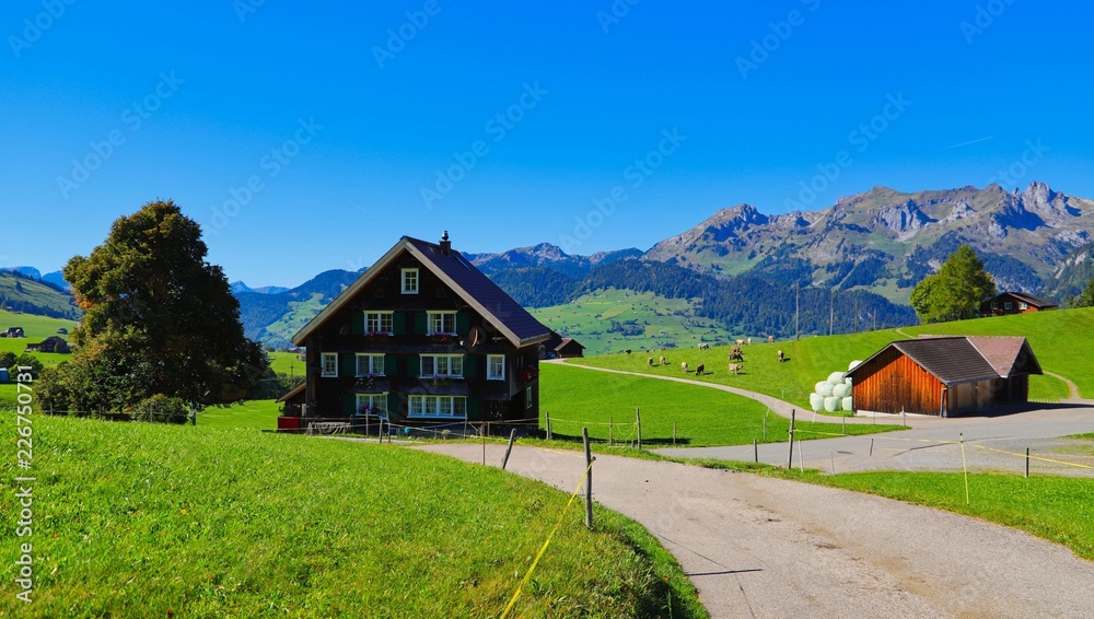 Fototapeta premium der weg ist das ziel