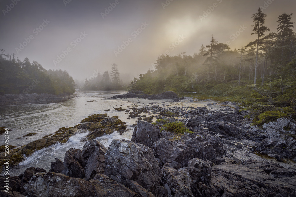 Early morning sunrise at Crystal Cove near Tofino on Vancouver Island, British Columbia, Canada
