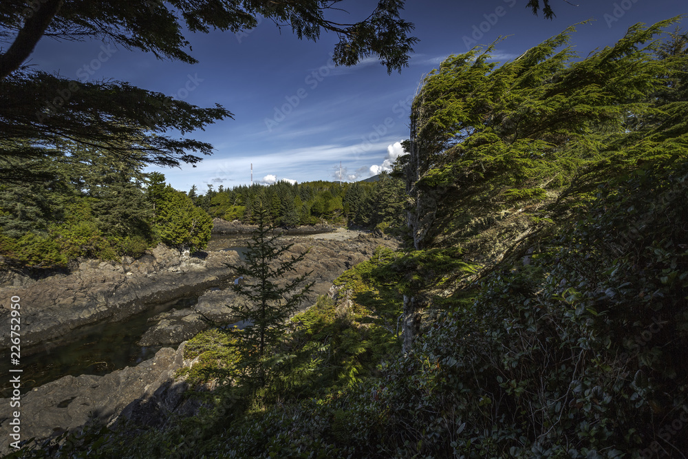 Along the Wild Pacific Trail in Ucluelet on Vancouver Island, British Columbia, Canada Along the Wild Pacific Trail in Ucluelet on Vancouver Island, British Columbia, Canada
