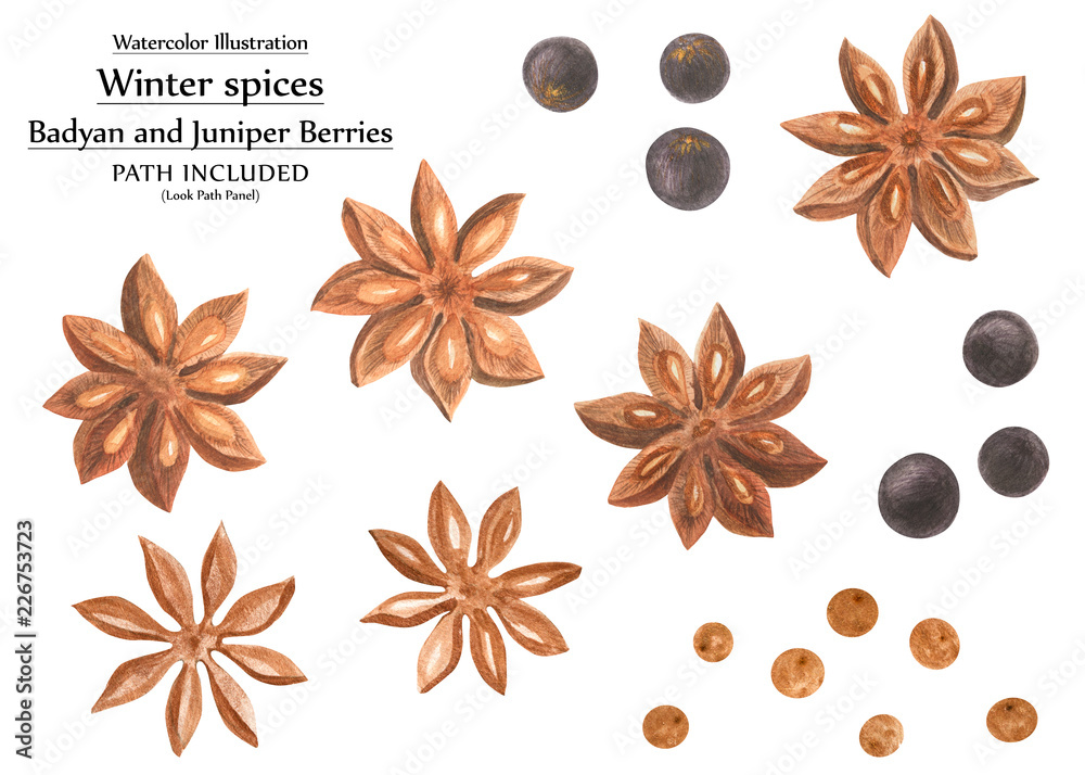 Fototapeta premium Winter spices watercolor set