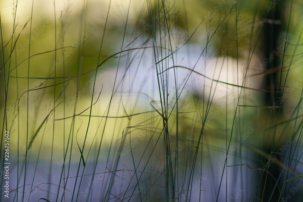Autumn had been reflected in the water of river. Defocused image of nature Autumn had been reflected in the water of river. Defocused image of nature