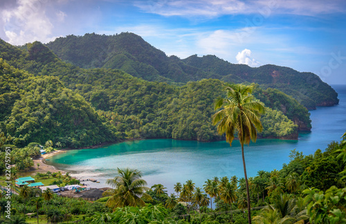 Fototapeta Naklejka Na Ścianę i Meble -  Sea and palm trees in Saint Vincent and the Grenadines, beautiful exotic paradise with mountains and beautiful perfect beaches and colorful turquoise and emerald colored water