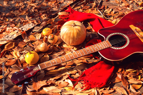 Acoustic red guitar in the fall outside