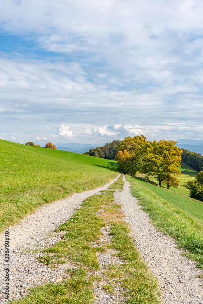 Wanderweg entlang eines Feldes im Herbst