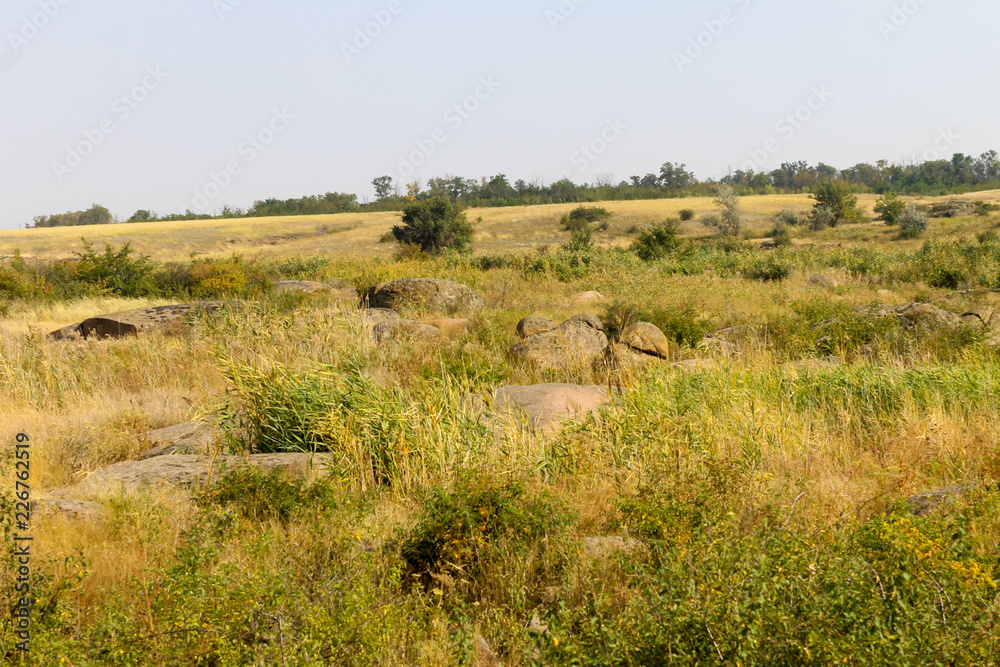 Wide meadow covered with grass and stones Wide meadow covered with grass and stones