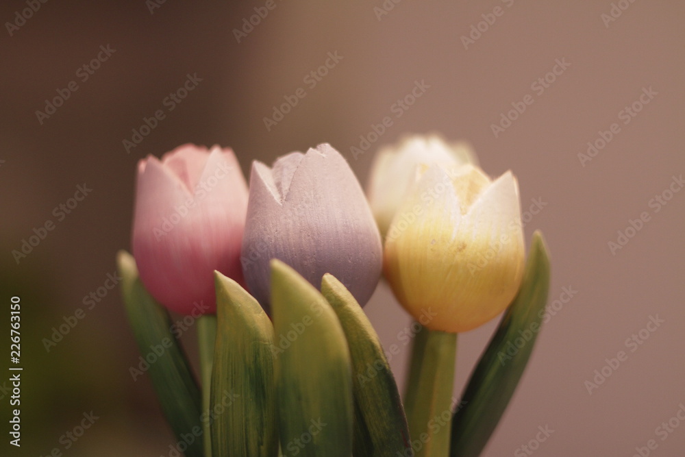 Fototapeta premium Toy tulips