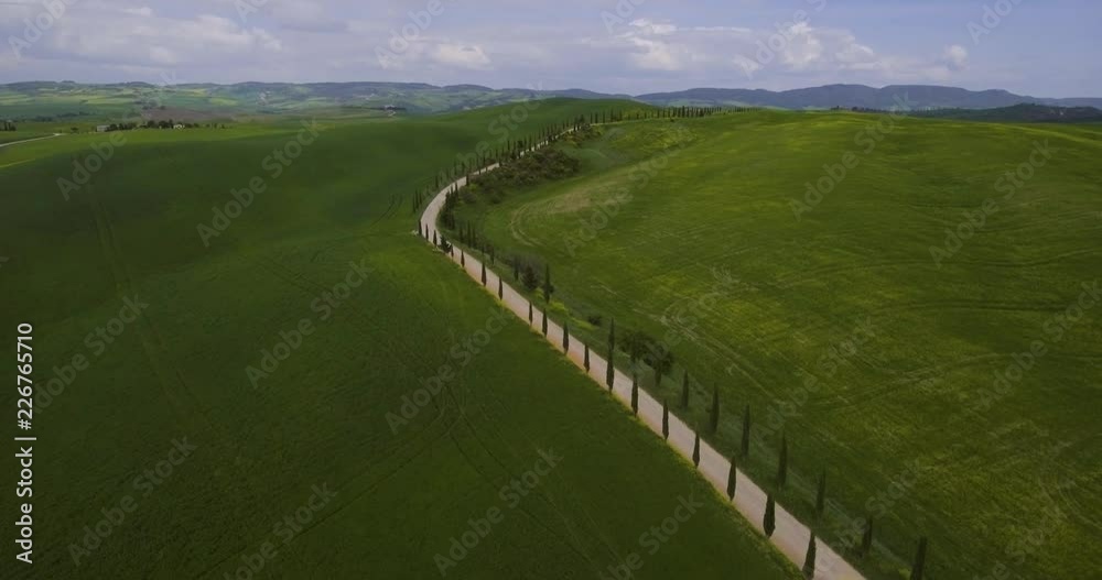 Aerial, a road with cypresses in Tuscany fields and hills Aerial, a road with cypresses in Tuscany fields and hills