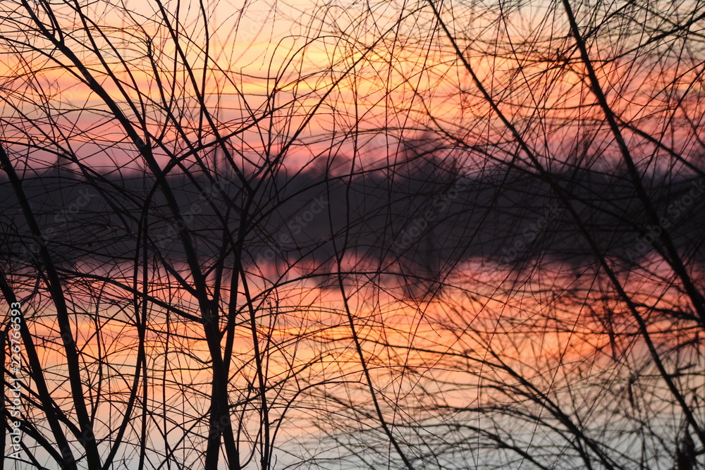 Tree branches against the sunset on the river Tree branches against the sunset on the river