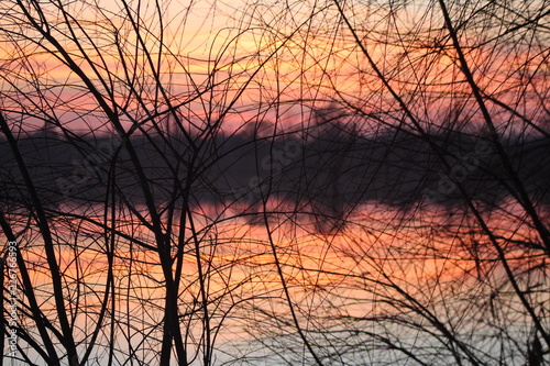 Tree branches against the sunset on the river © Marina
