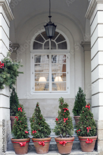 Decorated Christmas trees in pots near house