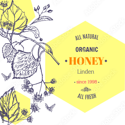 Vector vintage template label with hand draw flowers and herbs. Layout, mockup design for honey, cosmetics shop, beauty salon, natural and organic products. Organic plants sketch background.