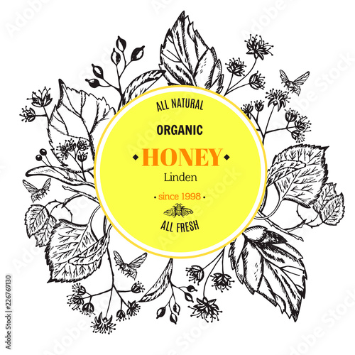 Vector vintage template label with hand draw flowers and herbs. Layout, mockup design for honey, cosmetics shop, beauty salon, natural and organic products. Organic plants sketch background.