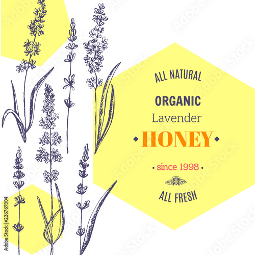 Vector vintage template label with hand draw flowers and herbs. Layout, mockup design for honey, cosmetics shop, beauty salon, natural and organic products. Organic plants sketch background.