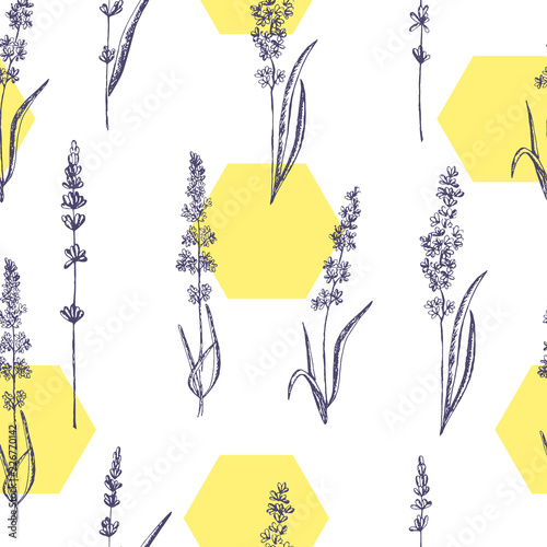 Seamless pattern of lavender flowers on a white background with honeycomb. Honey pattern with Lavender for packing. Stock vector