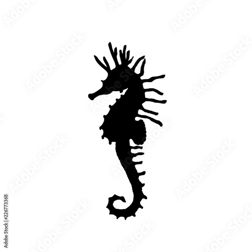Vector illustration of black seahorse silhouette. Hand drawing seahorse silhouette