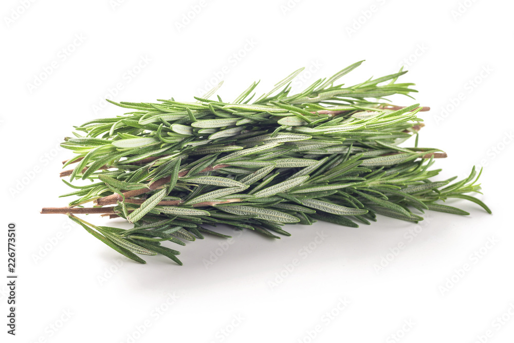 Fresh rosemary bunch isolated on white background Fresh rosemary bunch isolated on white background