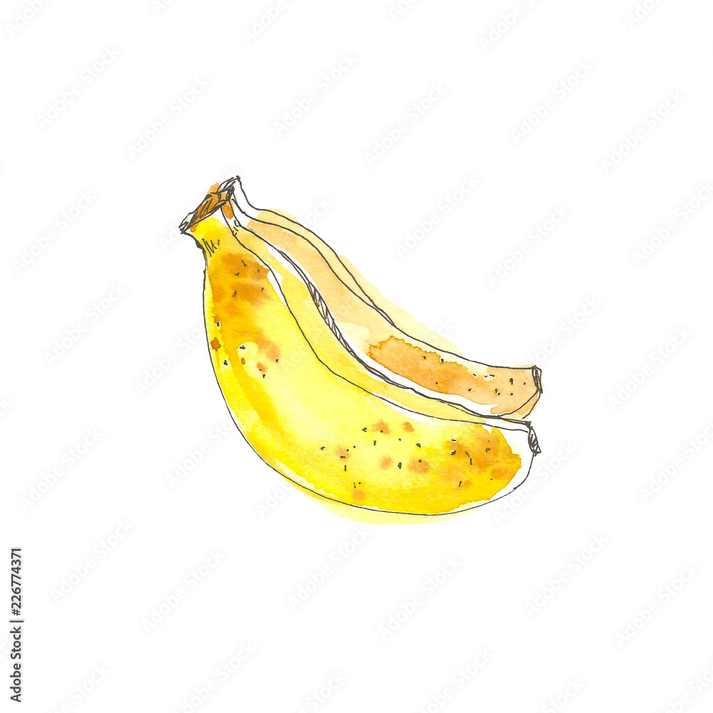 Banana Fruit Graphic Black White Isolated Sketch Illustration Vector Summer  Fruits For Healthy Lifestyle Hand Drawn Stock Illustration - Download Image  Now - iStock