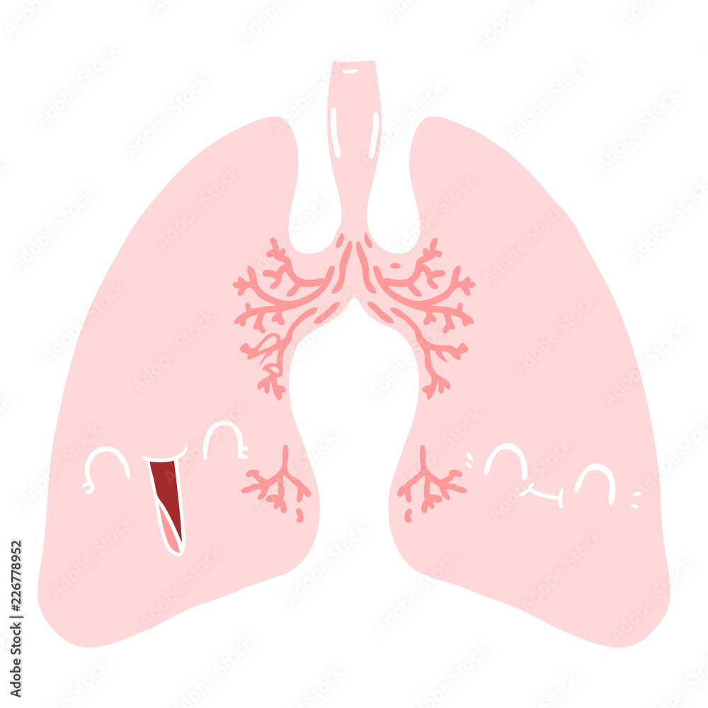 flat color style cartoon lungs