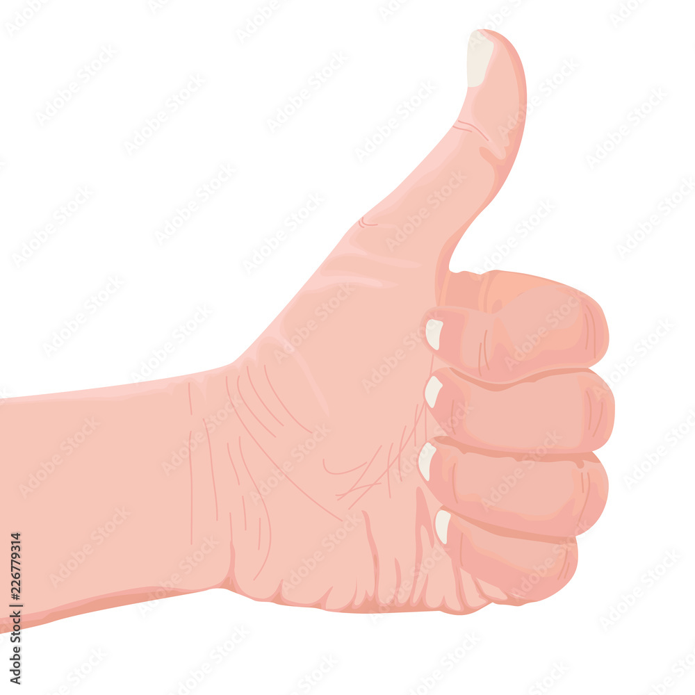 Hand symbol Like. Thumb up hand symbol at hand drawn. Hand signals such as Thumb Up Hand Sign on white background. Hand symbol Like. Thumb up hand symbol at hand drawn. Hand signals such as Thumb Up Hand Sign on white background.