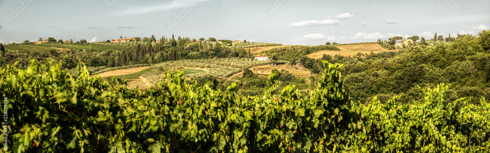 Rural landscape of Montespertoli, Tuscan region of Florence