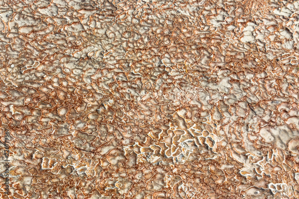 The surface of the limestone in the form of intricate patterns. The texture is made by flowing water for many years in Turkish Pamukalle. An interesting natural phenomenon. The surface of the limestone in the form of intricate patterns. The texture is made by flowing water for many years in Turkish Pamukalle. An interesting natural phenomenon.