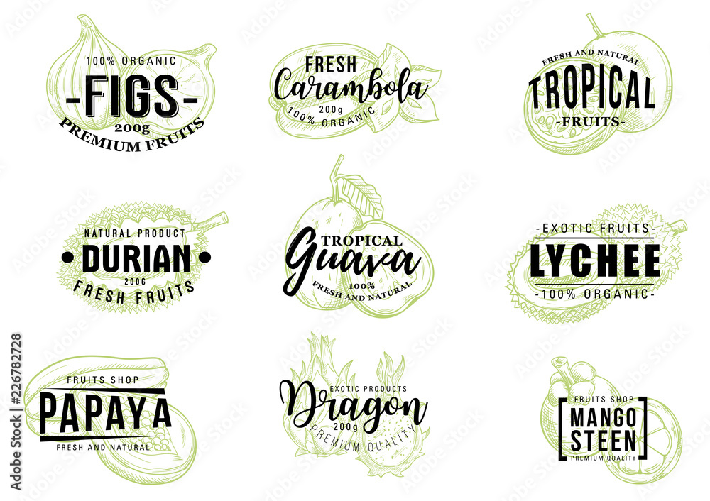 Fototapeta premium Tropical fruits sketch lettering, vector