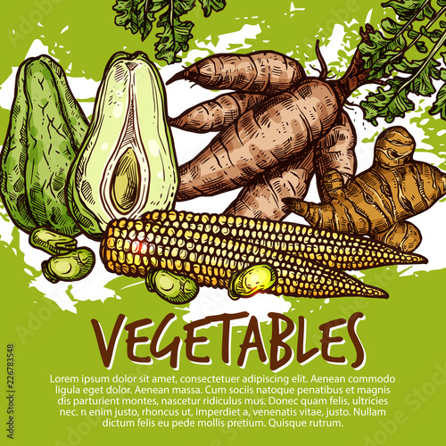 Exotic vegetables and edible roots, vector photo