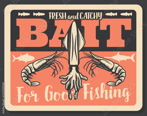 Seafood lobster and squid fishing, vector