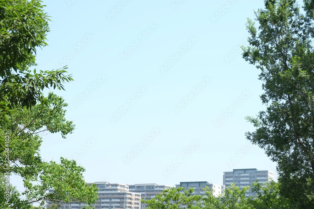 Fototapeta premium 都市と自然